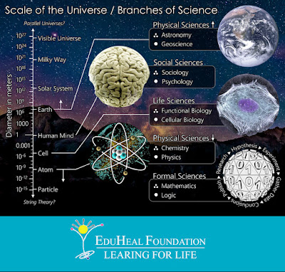 Scale of Universe or Branches of Science
